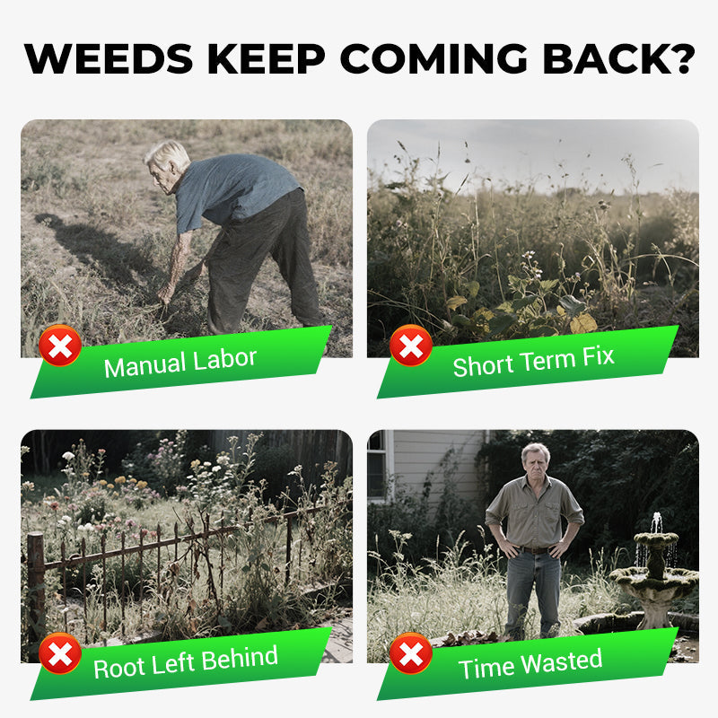 Cyclosinone Herbicide